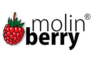 Logo Molin Berry