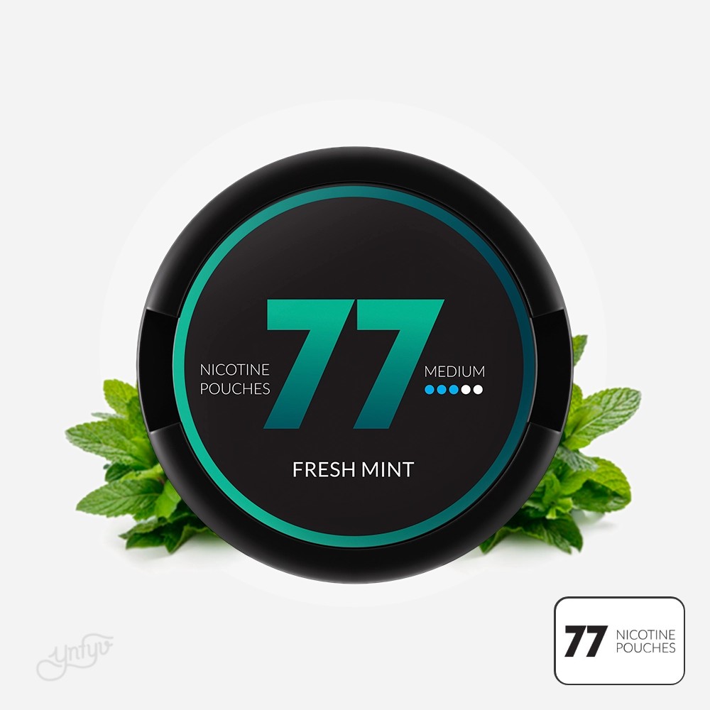 Bolsas De Nicotina Fresh Mint - 77 | Yonofumoyovapeo.com bolsas de nicotina fresh mint - 77