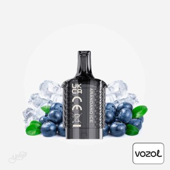 Cartucho Precargado Vista Plug 2+10 Arándano Ice 20mg Vozol