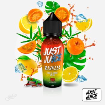 Aroma Exotic Fruits Lulo and Citrus 20ml (Longfill) - Just Juice